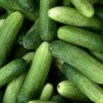 Ini Dia 3 Makanan Peningkat Fungsi Ginjal