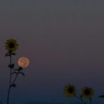 6 Fenomena Langit Bulan Agustus 2025, Kehadiran Konjungsi Planet