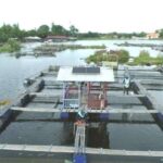 Target PLTS 100 GW Dorong Pertumbuhan Industri Panel Surya