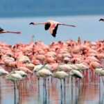 5 Fakta Menarik Danau Urmia, Danau Terbesar di Timur Tengah