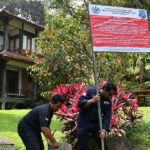 Empat Hotel yang Merusak Sungai Ciliwung, Ini Daftar Pelanggarnya