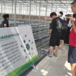 Teknologi Pangan Cina Tingkatkan Produksi Petani