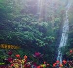 Healing di Blitar? 4 Air Terjun Eksotis dengan Spot Foto Menarik