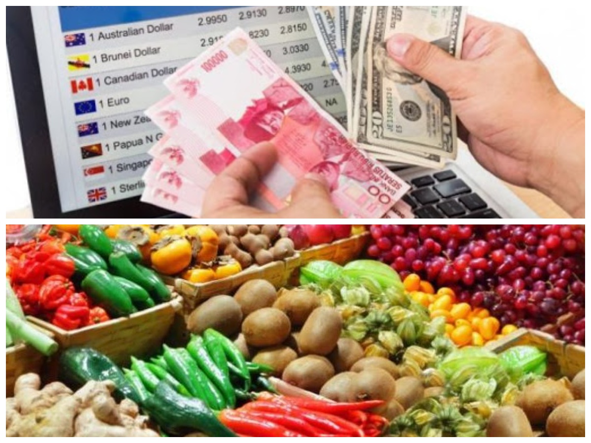 Refleksi Kebijakan Baru BI Menghadapi Ekonomi Global