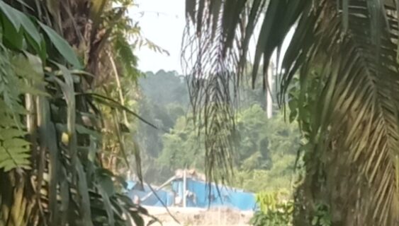 Pemukiman Warga dan Kebun sawit Terancam Banjir, Puluhan Rakit Meraung di Sungai Teso Kapolsek Kampar Kiri Harus Segera Bertindak   ‎